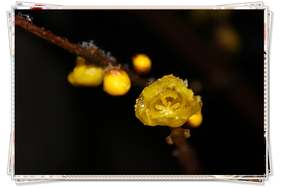 IMG_8784_.jpg