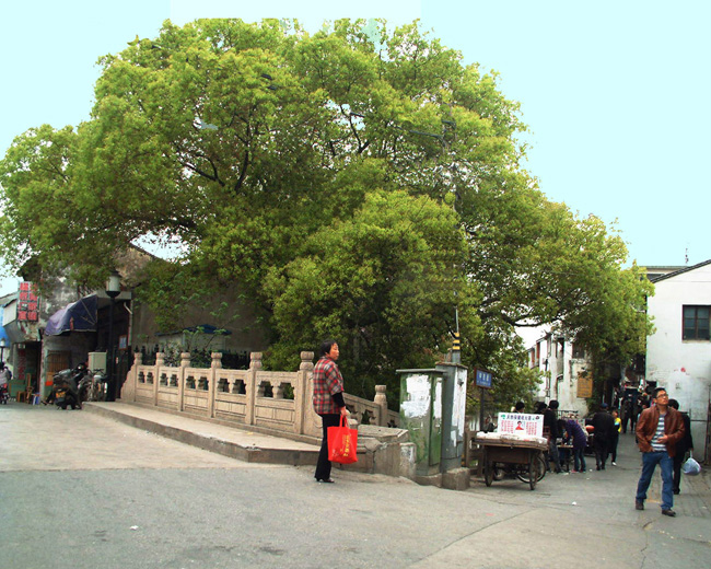 DSCF0039.JPG