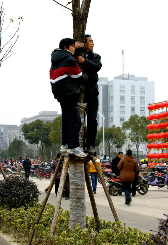 DSC03792_conew1.JPG