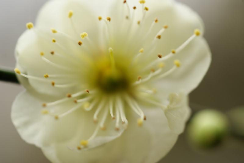 DSC04351.JPG