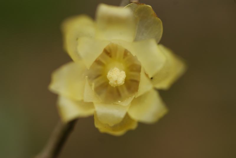 DSC04329.JPG