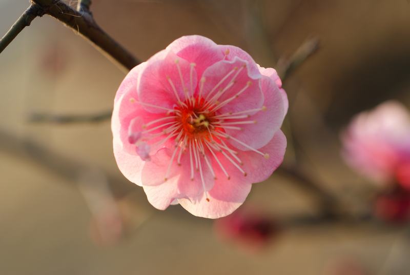 DSC04488.JPG