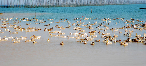 DSC_5732_conew1.jpg