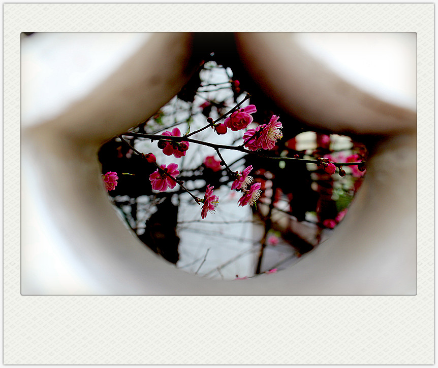 ʯ÷_0537_.jpg