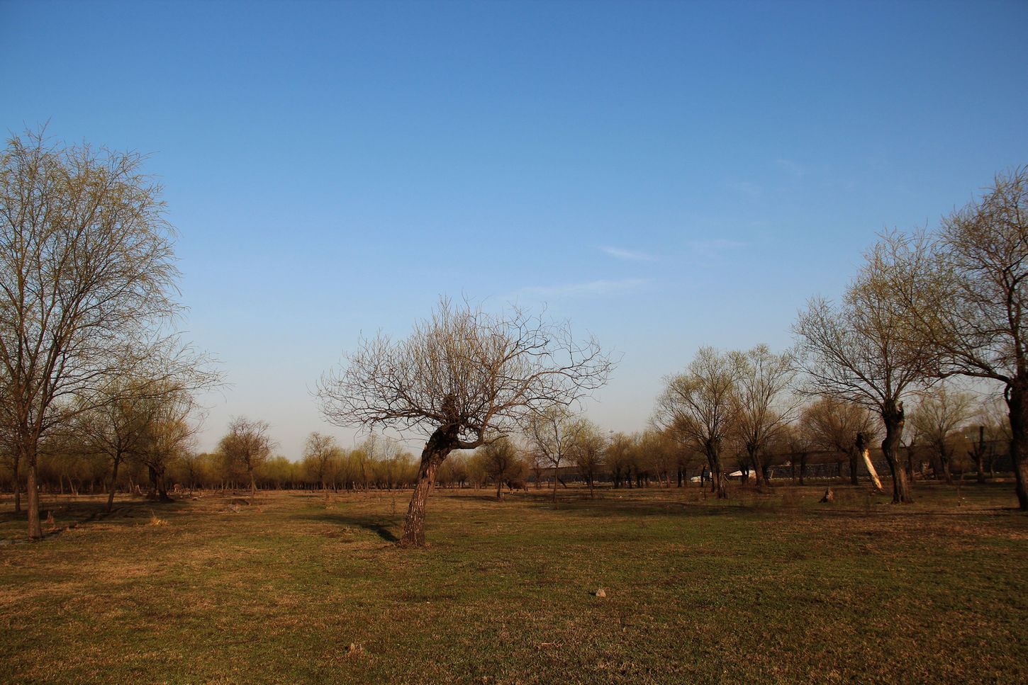 2012.3.24ʪ7-2.jpg