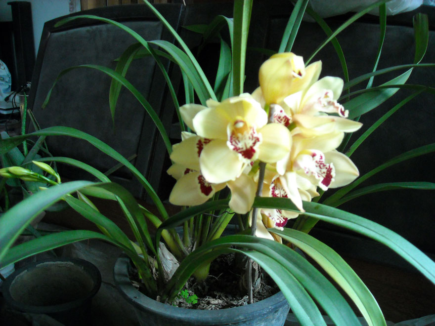 DSCN1924.JPG