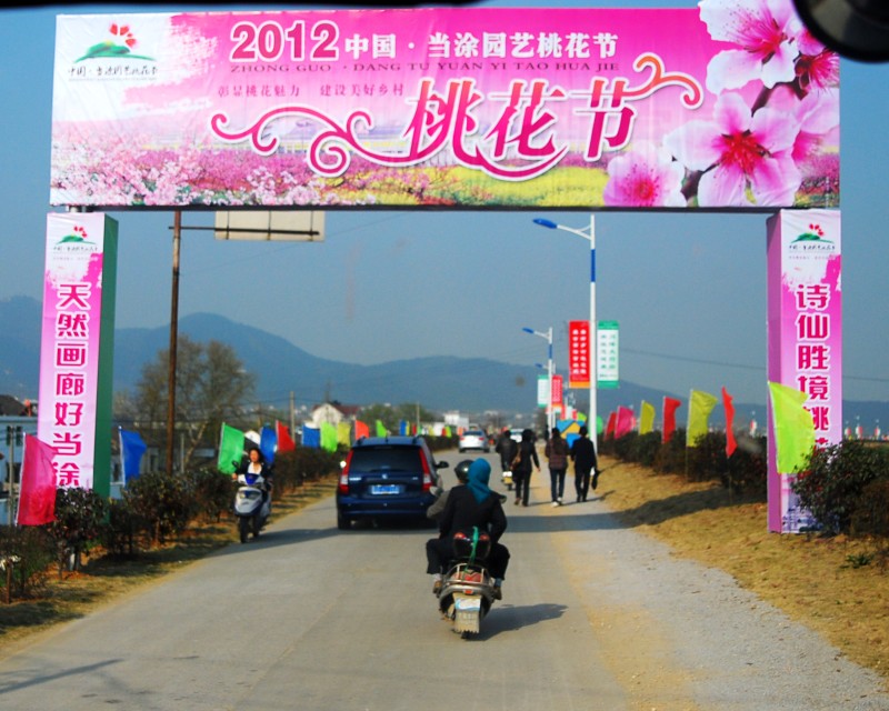 DSC_7594_conew1.JPG