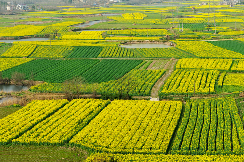 LCL_3471.jpg