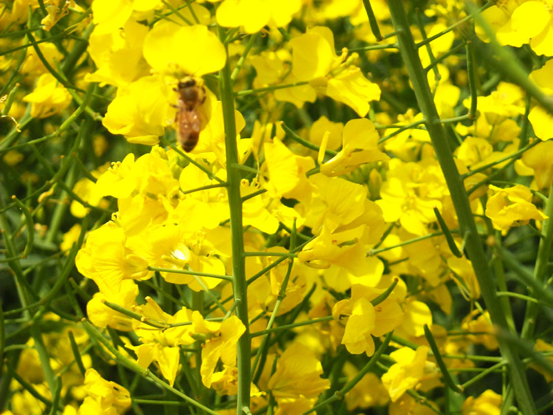 DSCN2205.JPG