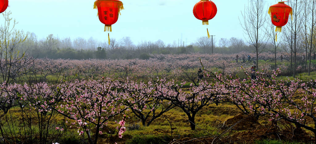 飩Ķ԰촺_DSC3499ok.jpg