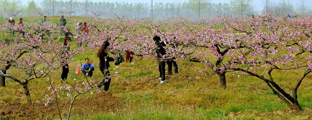 飩Ķ԰촺_DSC3493ok.jpg