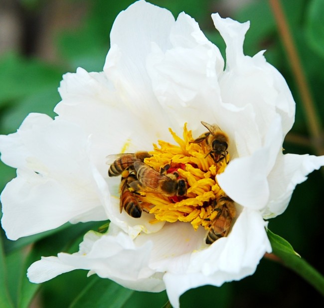 DSC_8469_conew2.jpg