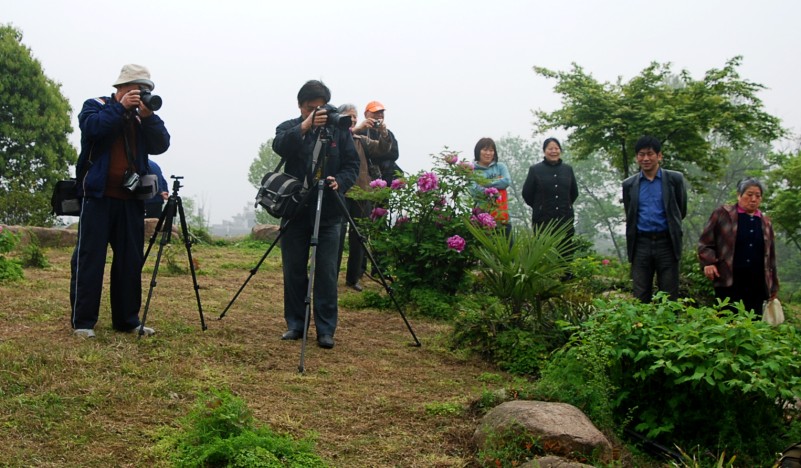 DSC_8797_conew1.JPG