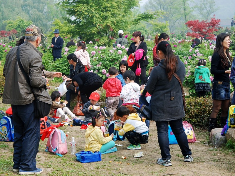 DSC_8906_conew2.JPG