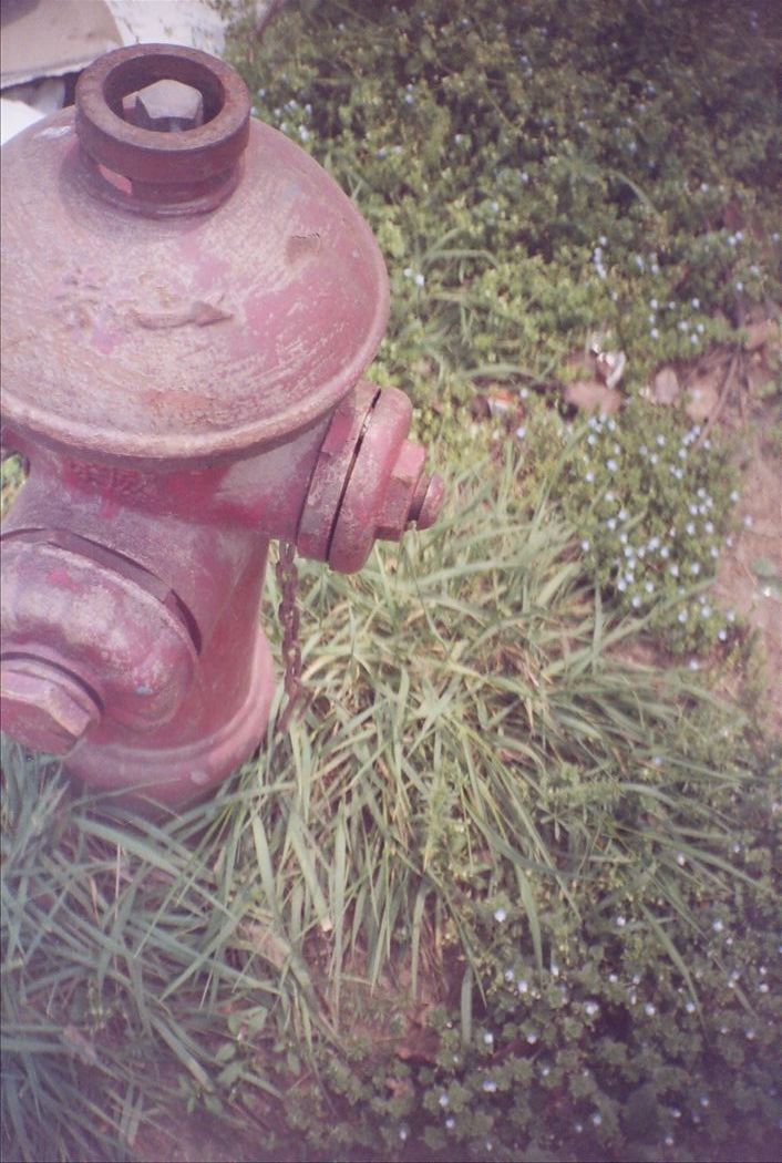 r001-013.jpg