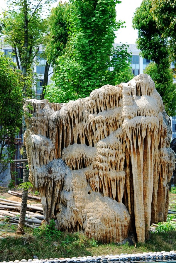 DSC_9045_conew2.JPG