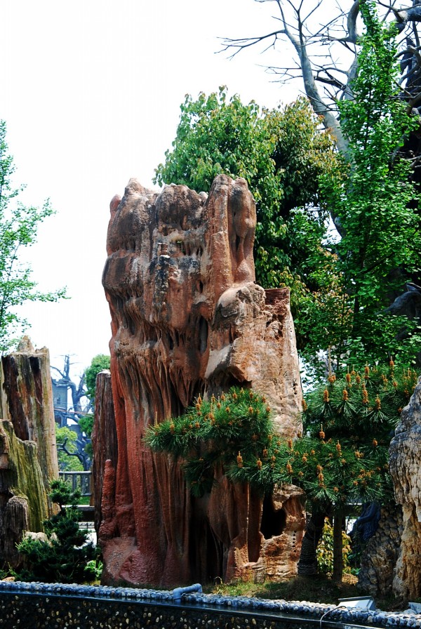 DSC_9049_conew4.jpg