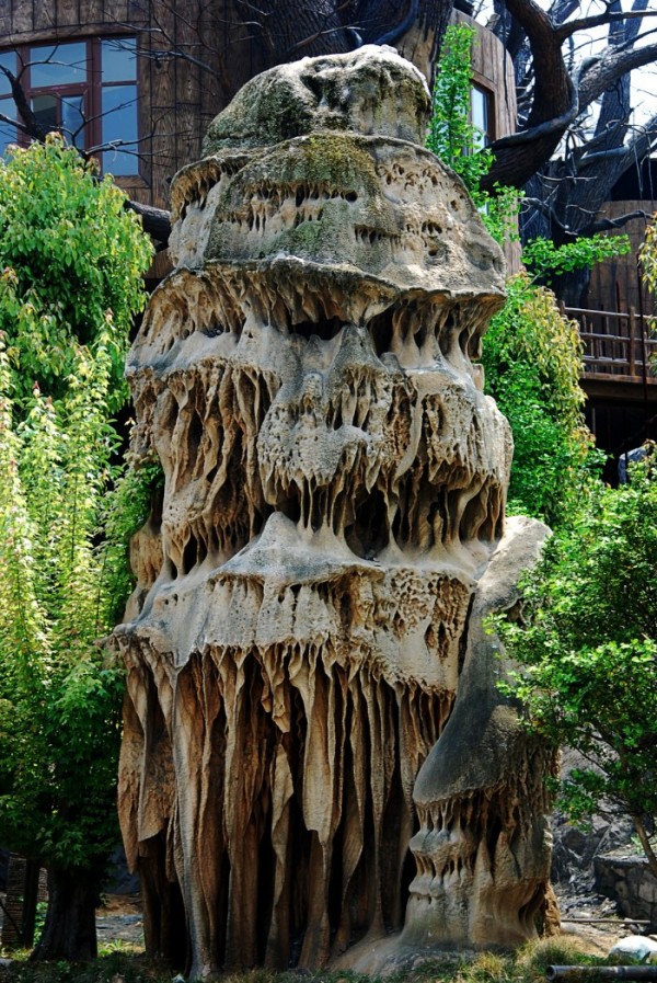 DSC_9048_conew4.jpg