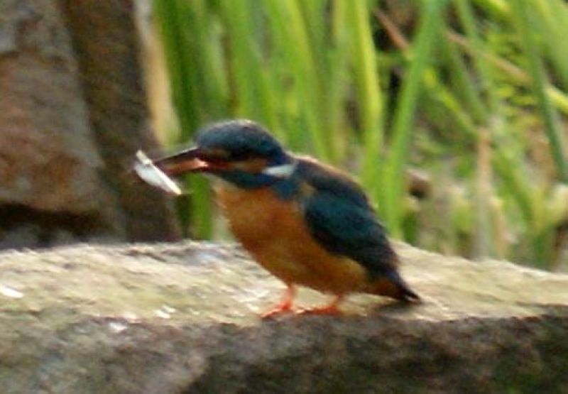 DSC05906.JPG