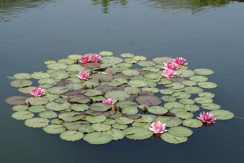 DSC06293.JPG