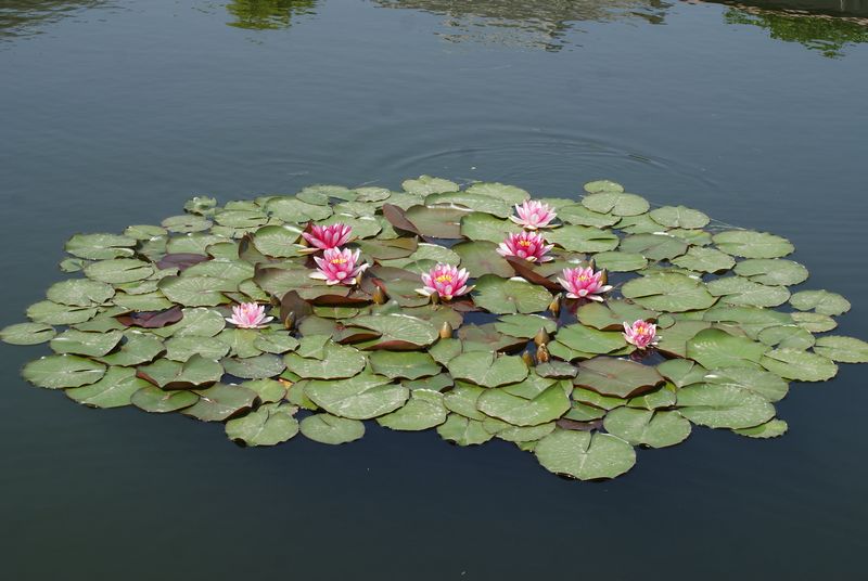 DSC06294.JPG