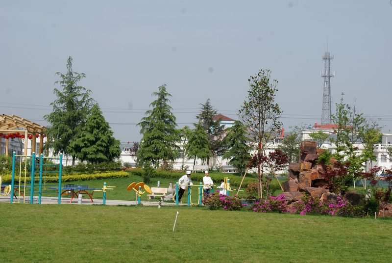 DSC06204 .jpg