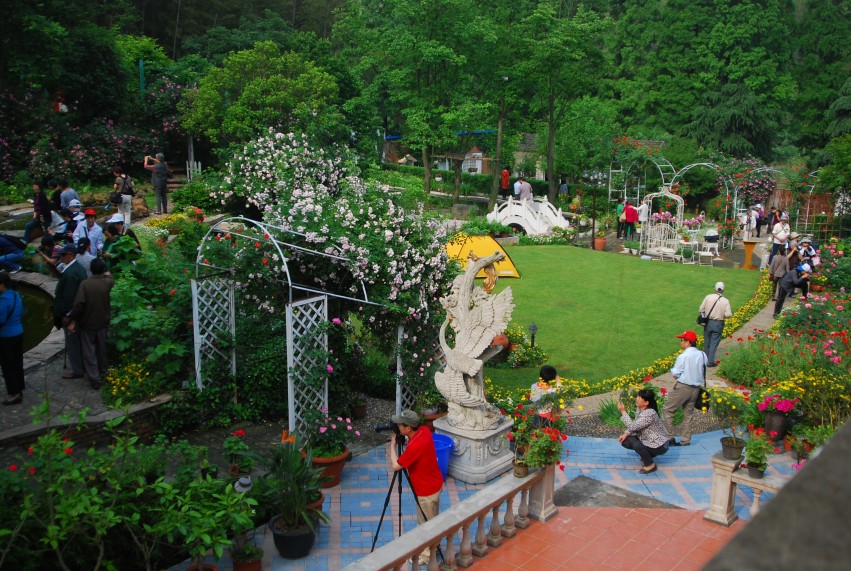 DSC_1049_conew1.JPG