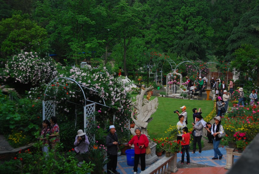 DSC_1062_conew1.JPG