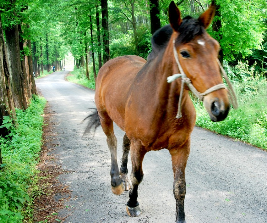 DSC_1189_conew2.JPG