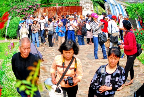  DSC_1000_conew1.JPG