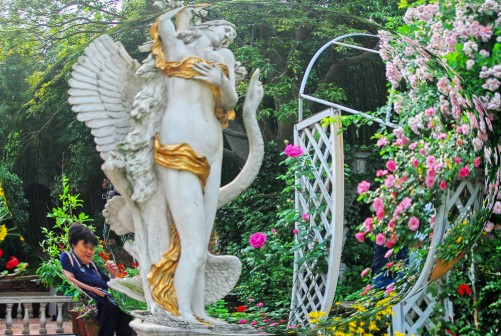  DSC_1038_conew2.JPG