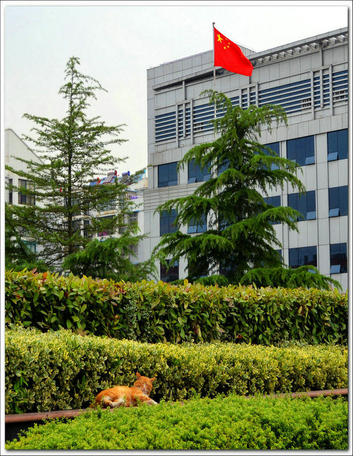 CSC_0454.JPG