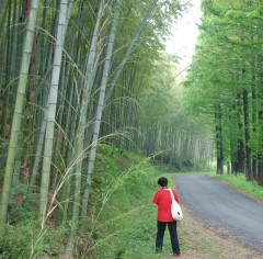 DSC_0953_conew1.JPG