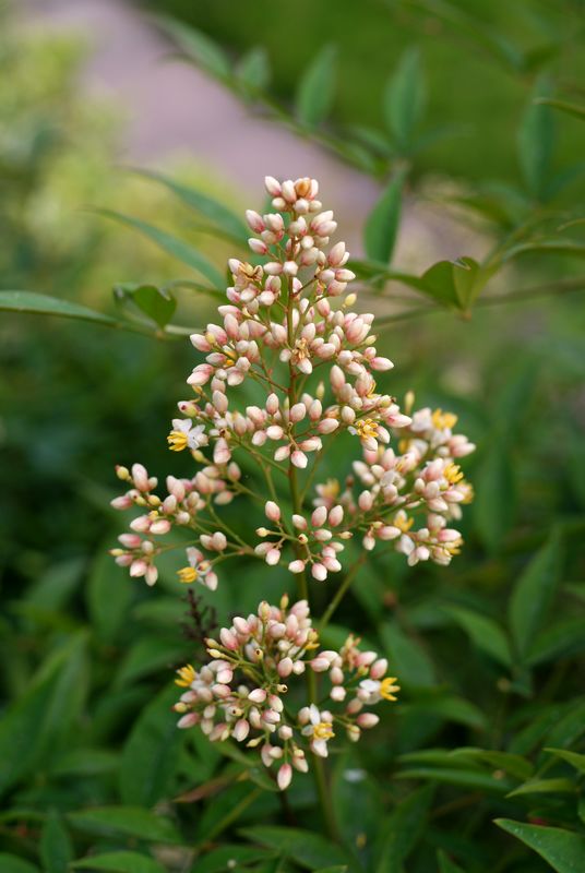 DSC06790.JPG