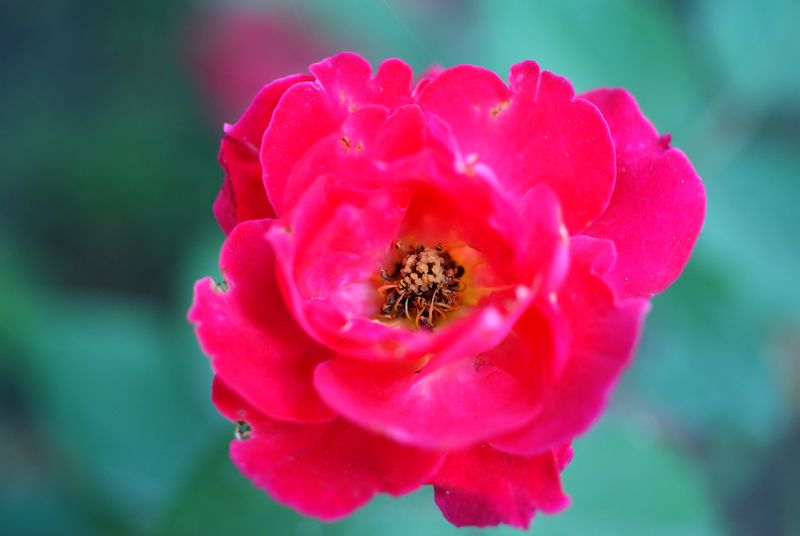 DSC06850.JPG