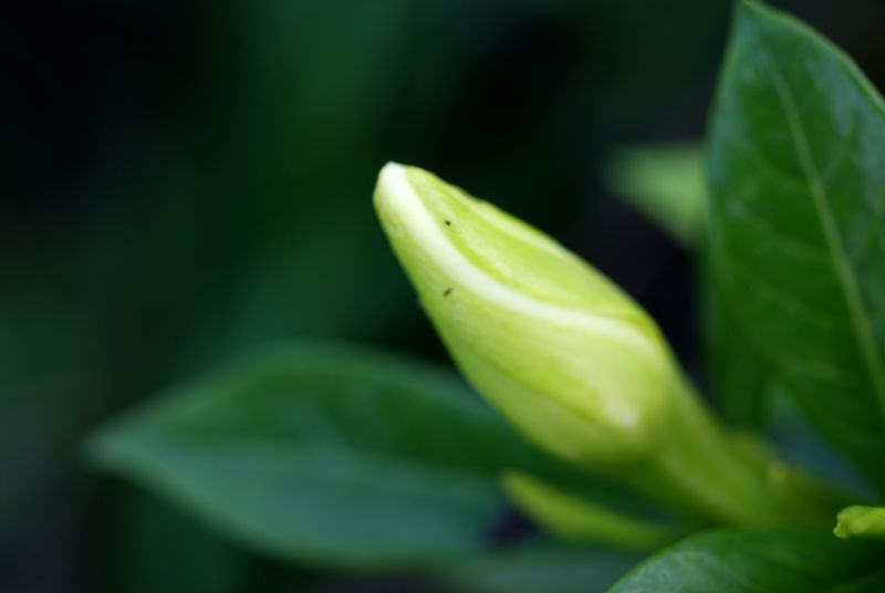 DSC06838.JPG