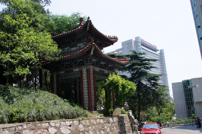 DSC06078 - .JPG