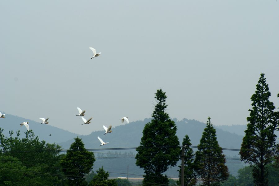 DSC07681.JPG