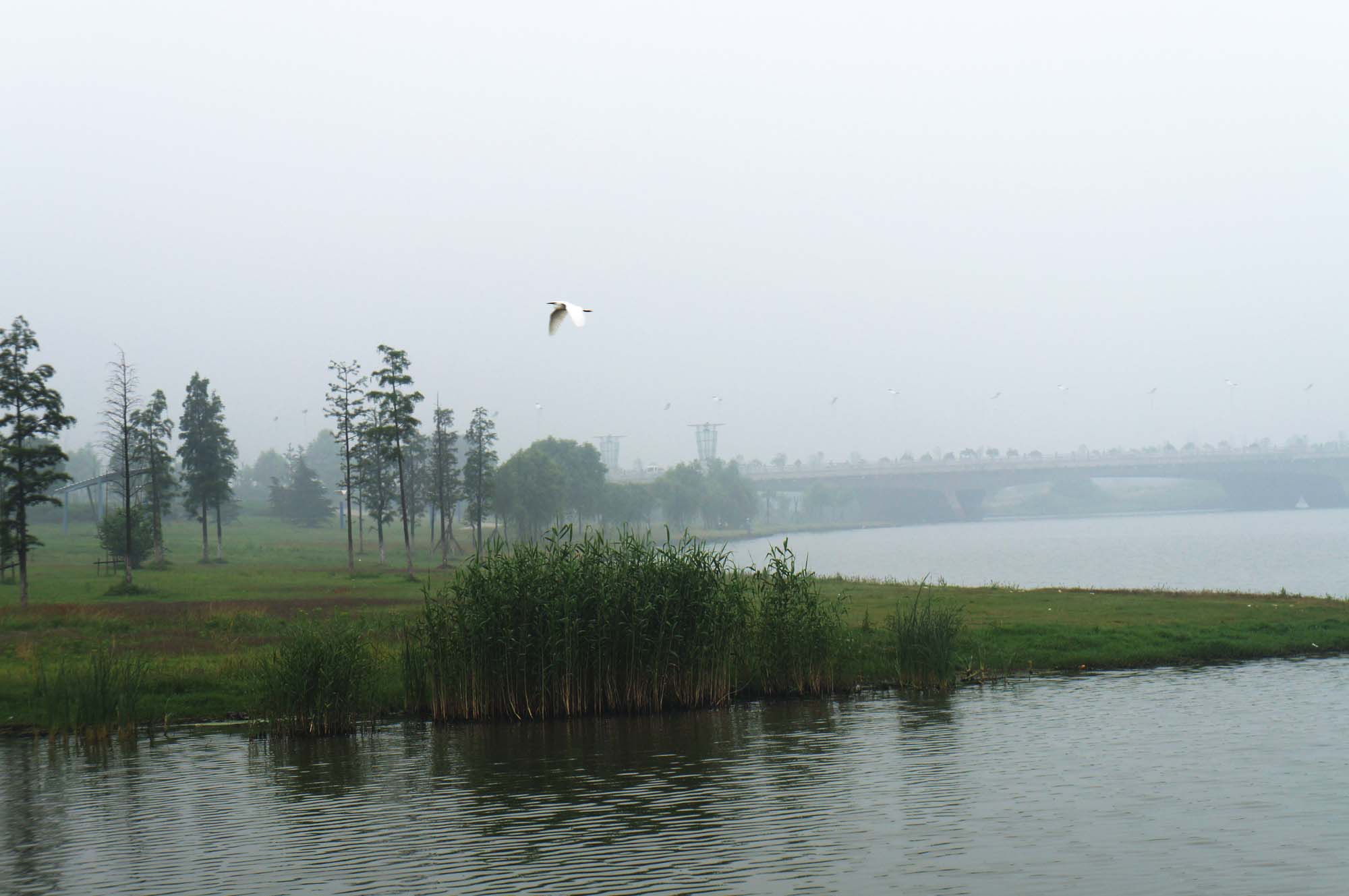  DSC00189.JPG