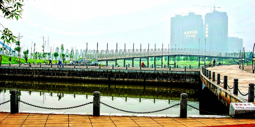 DSC_2759_conew4.jpg