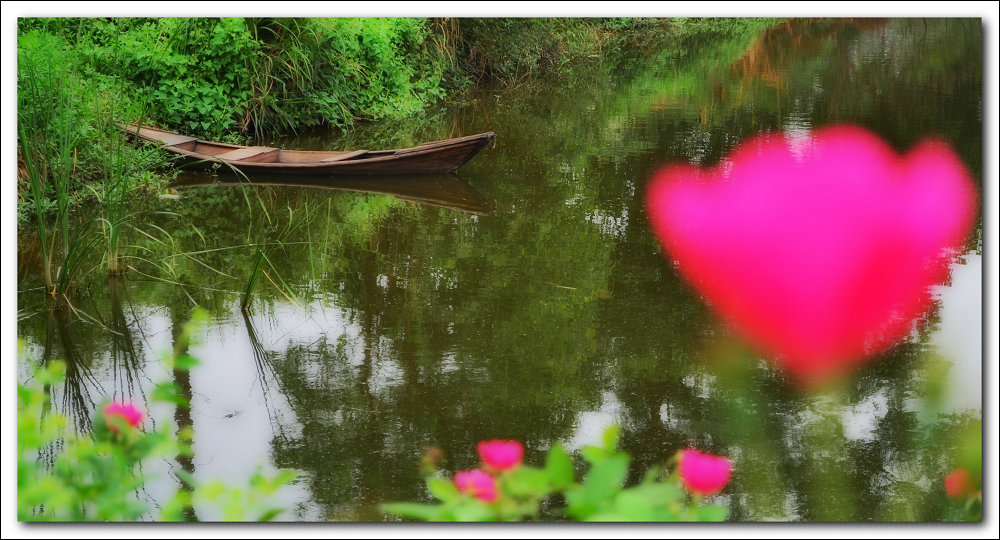 DSC_1241.jpg