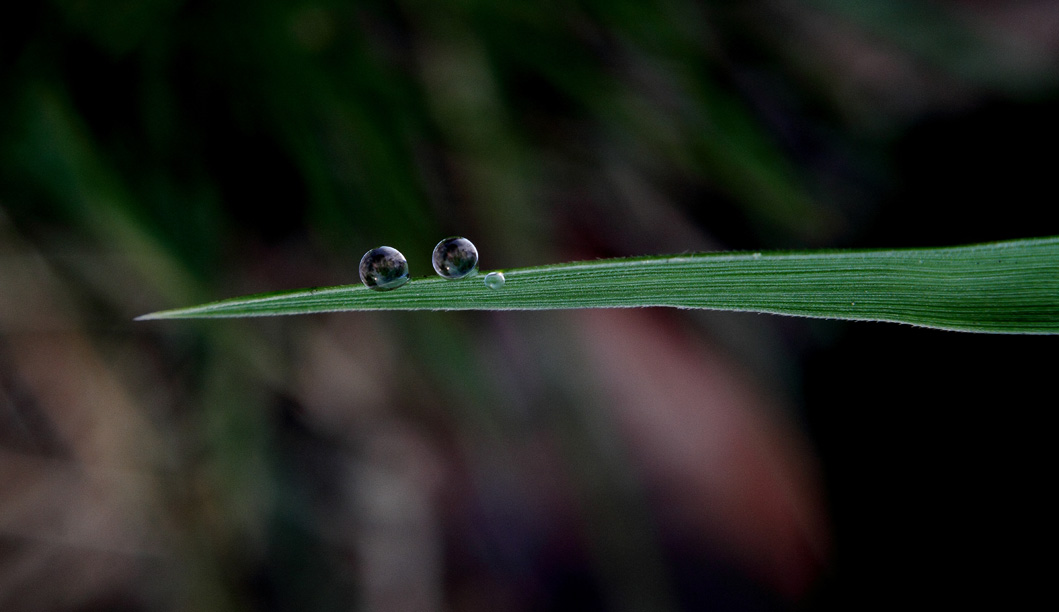 _MG_5905 .jpg