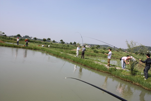 2012.4.17 382.jpg