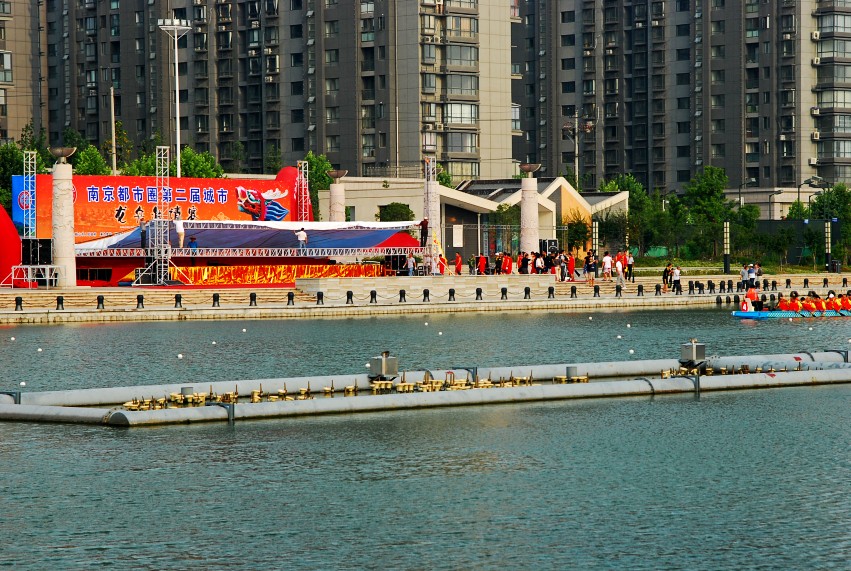 DSC_4269_conew1.JPG