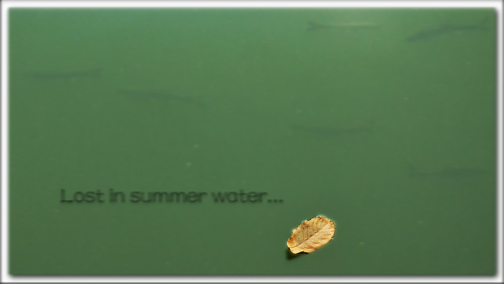 1206201226f8c58296d08c18a1.jpg