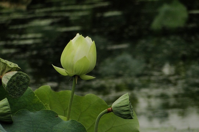 DSC09802.JPG