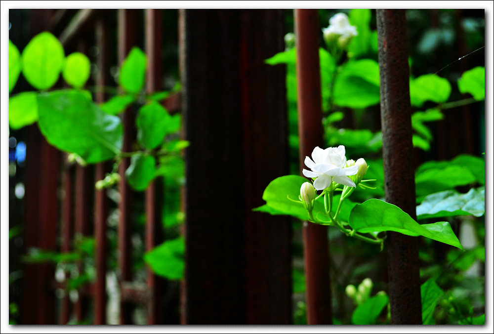 DSC_0005.jpg