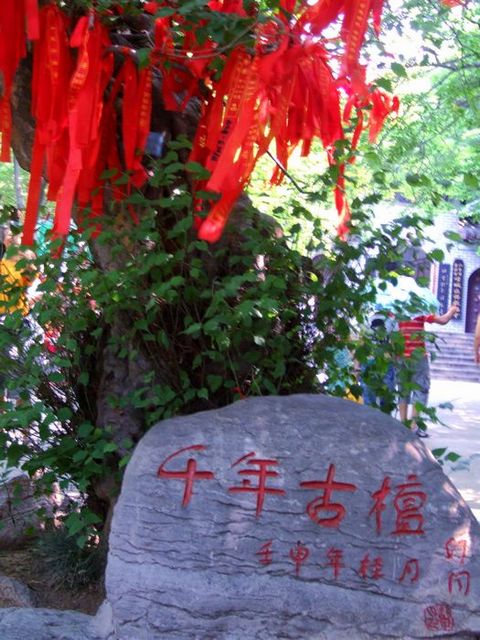 DSCF9830.jpg