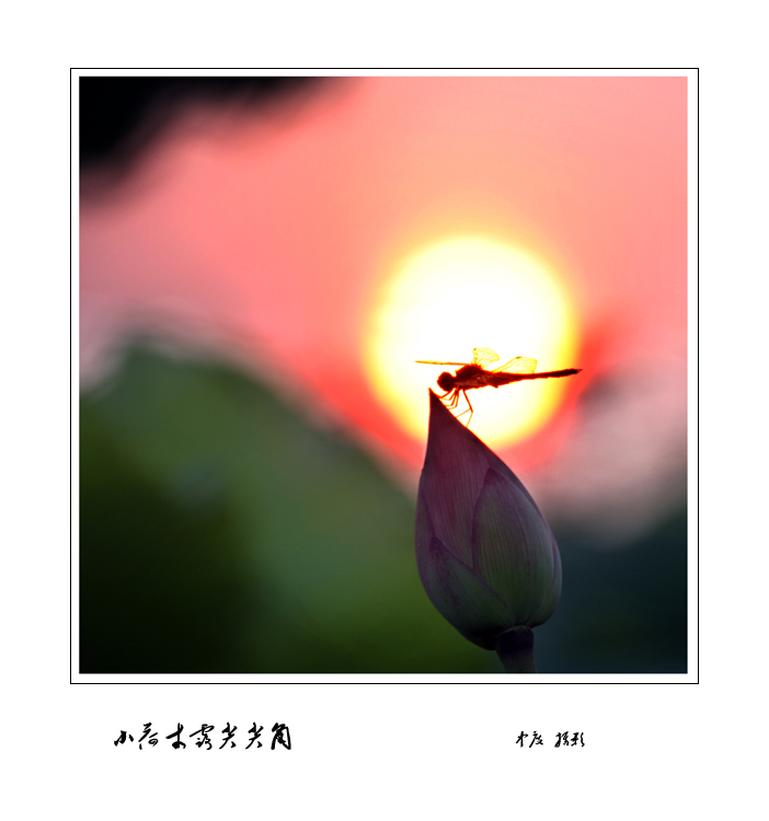 IMG_4187.jpg