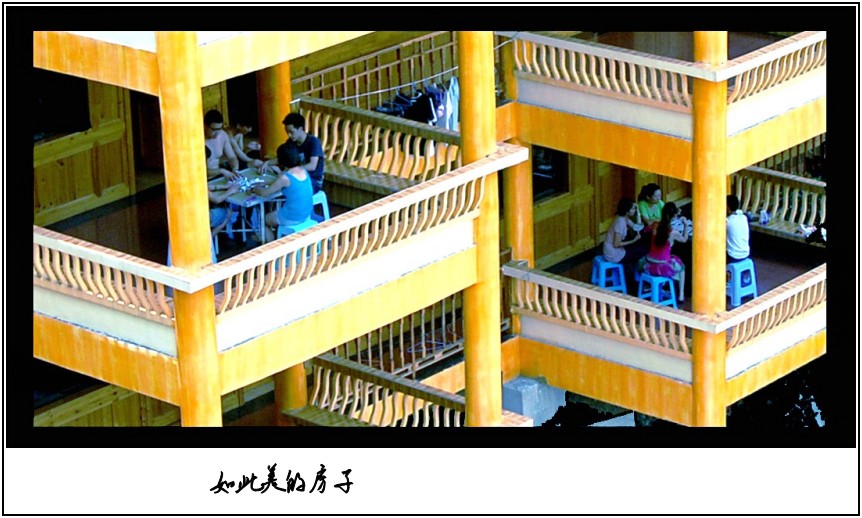 DSC_7325_conew3.JPG